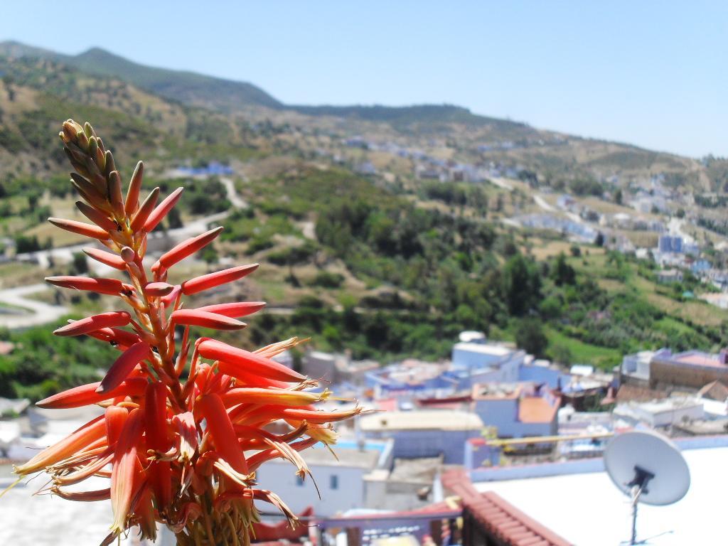 Bed and Breakfast Dar Lbakal à Chefchaouen Extérieur photo